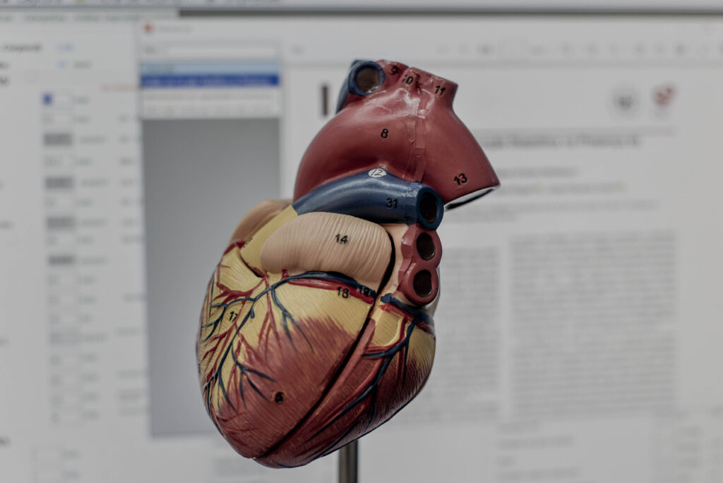 Avanços em Correções Cardíacas: Congresso DIC e o Papel Vital do 3D
